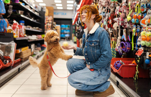 Pet Products